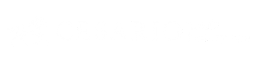 高崎プライベートメンズエステCESARIO